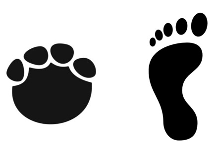 In defense of RNASeq